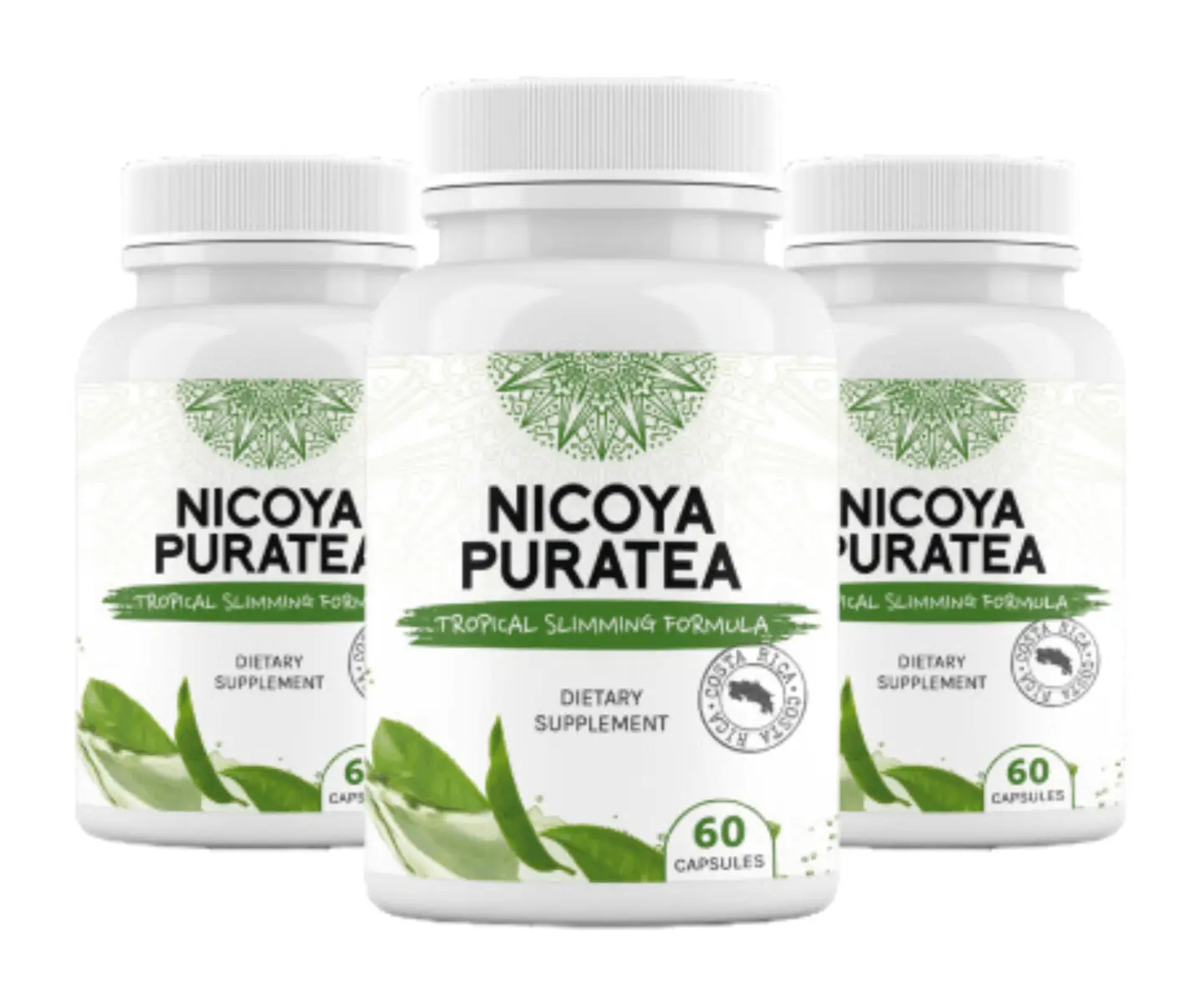 nicoya puratea